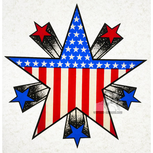 American Stars Vintage 1975 Roach Incorporated Iron On Heat Transfer