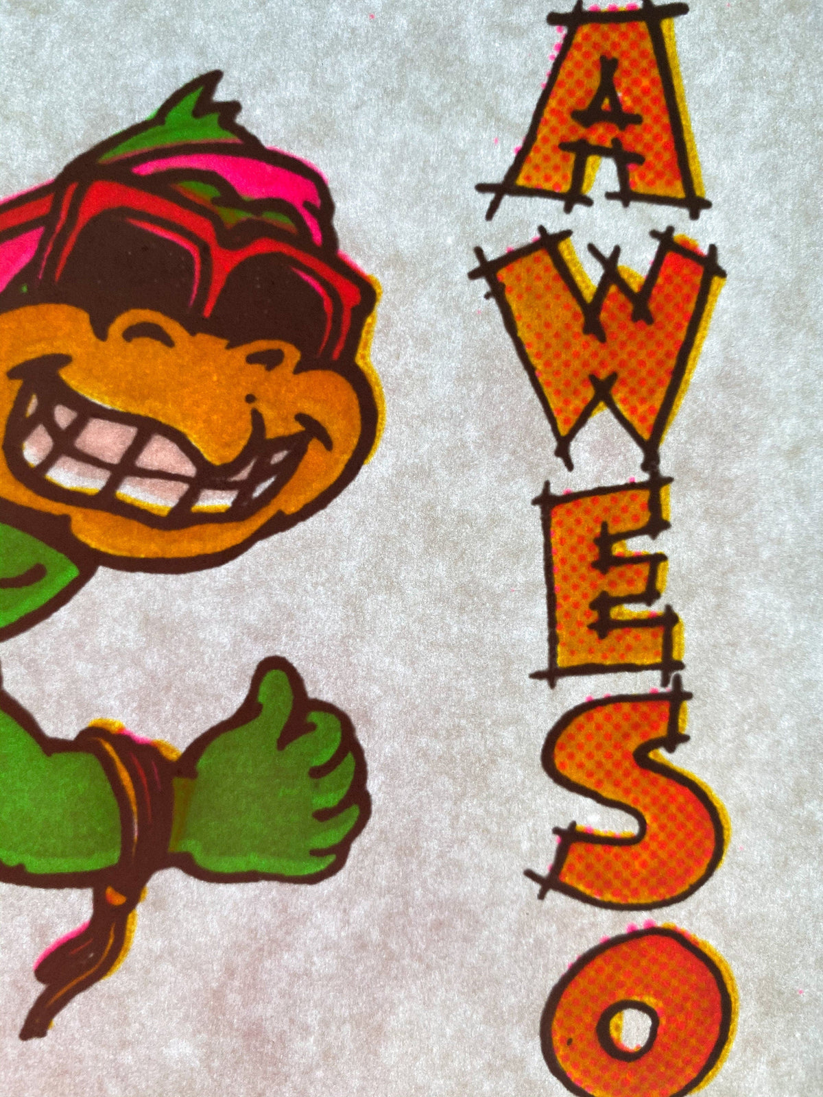 Awesome Turtle Skateboarding Vintage Iron On Heat Transfer with Gritty Ink