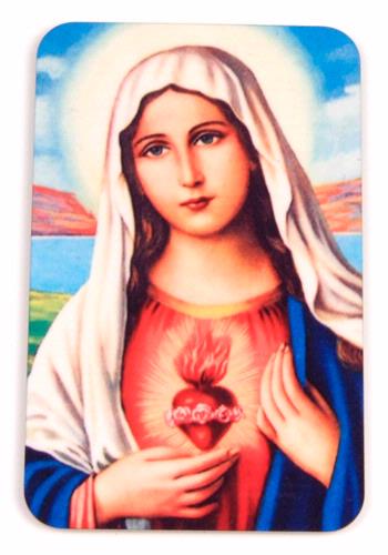 Virgin Mary Magnet